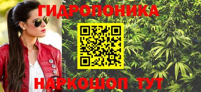 соль ск Лесосибирск