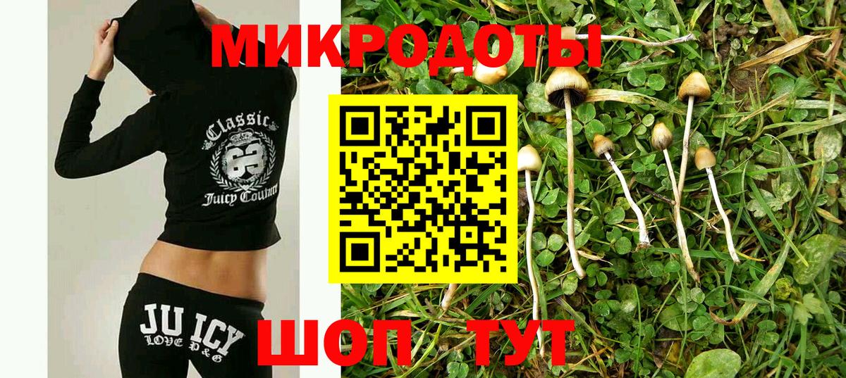 Всеволожск  Галлюциногенные грибы Psilocybe  Вход с VPN  Псилоцибиновые грибы ЛСД 